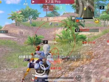 pubg挂+锁头+透视+锁血 - 吃鸡实战一条龙辅助